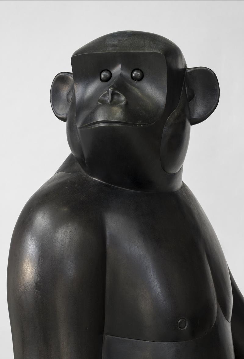 Eine Skulptur die den Torso eines Gorillas zeigt, blickt den Betrachter an.