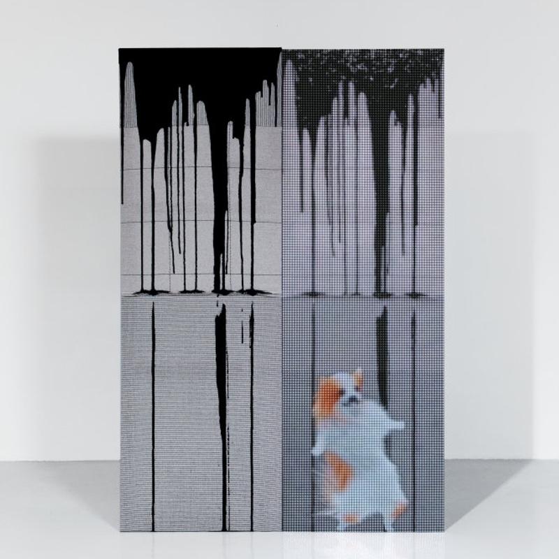 Abstrakte Installation mit zwei vertikalen Paneelen, einem in Schwarz-Weiß und einem mit verschwommenem Tiermotiv.